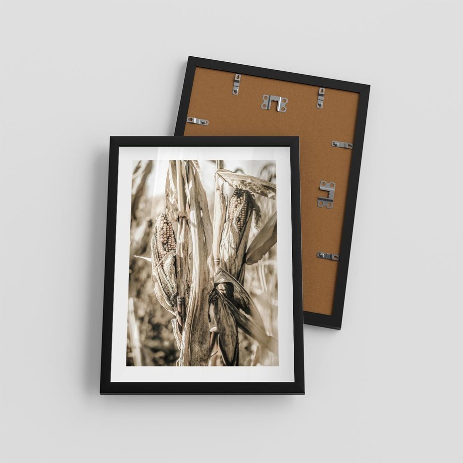 Plakat w ramie 30x40 - Retro Pole Kukurydzy - retro zdjęcie, sepia - rama czarna