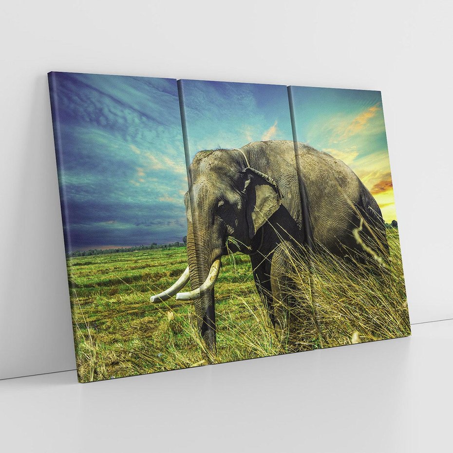 Obraz na płótnie 120x80 - Słoń w sawannie: Spotkanie z dziką przyrodą - słoń, sawanna