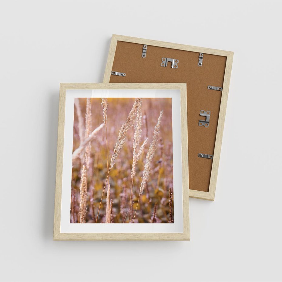 Plakat w ramie 40x50 - Sucha Trawa w Sierpniu - trawy, łąka - rama drewno