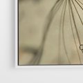 Obraz w ramie 50x50 - Delikatność dmuchawców - dmuchawce, krople - rama biała