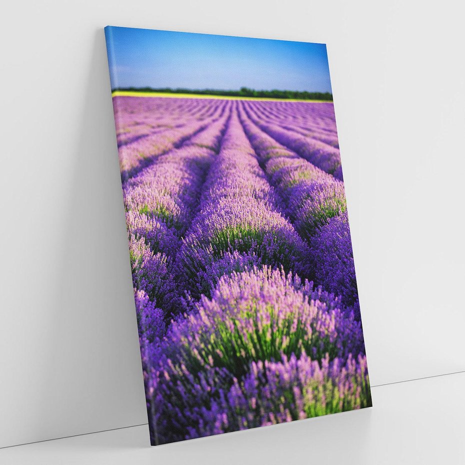 Obraz na płótnie 80x120 - Malownicze Pole Lawendy - lawenda, pole