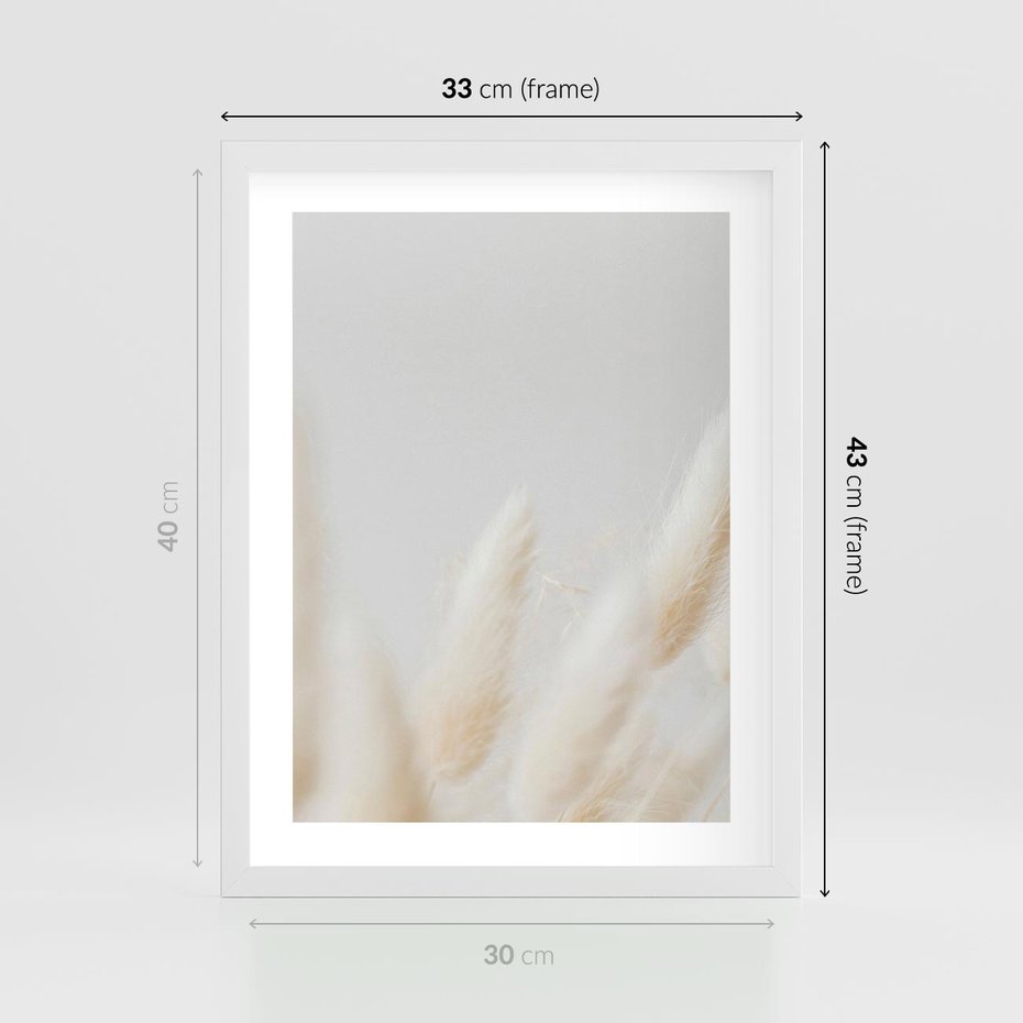 Plakat w ramie 30x40 - Biały Spokój - białe trawy, suche trawy pampas - rama biała