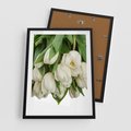 Plakat w ramie 50x70 - Białe tulipany w pełnym rozkwicie - białe, tulipany - rama czarna