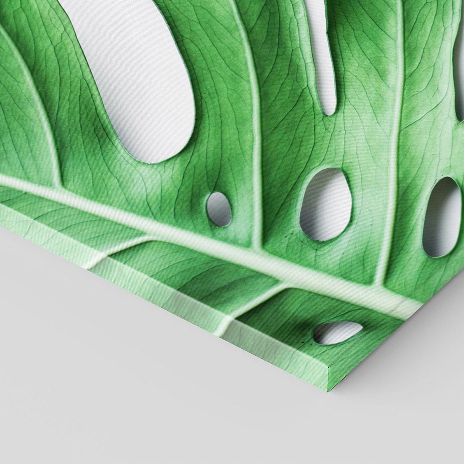 Obraz na płótnie 120x60 - Monstera - Liście Kwiaty - monstera, liście