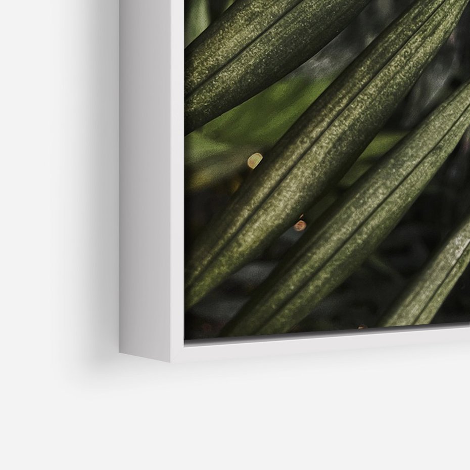 Obraz w ramie 50x70 - W Liściach Ukryte - zdjęcie, fotografia - rama biała