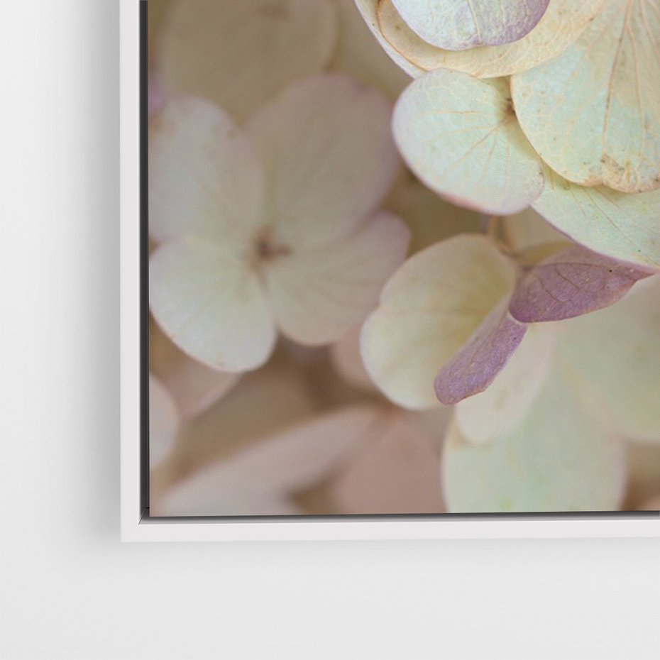 Obraz w ramie 50x70 - Kwiatowy taniec - kwiaty, hortensje - rama biała