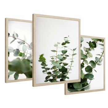 Zestaw obrazy w ramie 50x70 galeria - Eukaliptus, zielone, liście, minimalizm - rama drewno