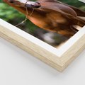 Plakat w ramie 30x40 - Portret Szlachetnego Konia - koń, portret - rama drewno