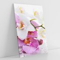 Obraz na płótnie 50x70 - Magia kwiatów - kwiaty