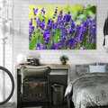 Obraz na płótnie 120x80 - Elegancka lawenda w pełnym rozkwicie - lawenda, kwiaty