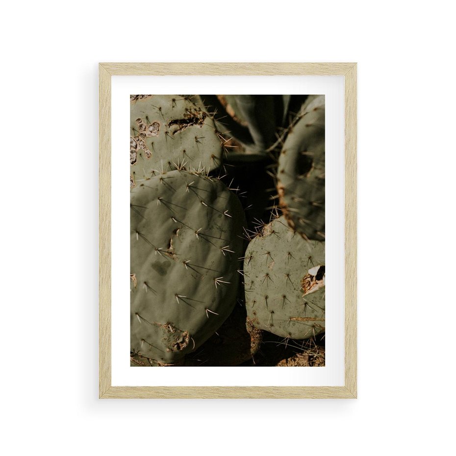 Plakat w ramie 30x40 - Urok Egzotyki - kaktusy, boho - rama drewno