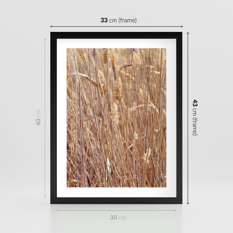 Plakat w ramie 30x40 - Mistrzowskie suche trawy - suche, trawy - rama czarna