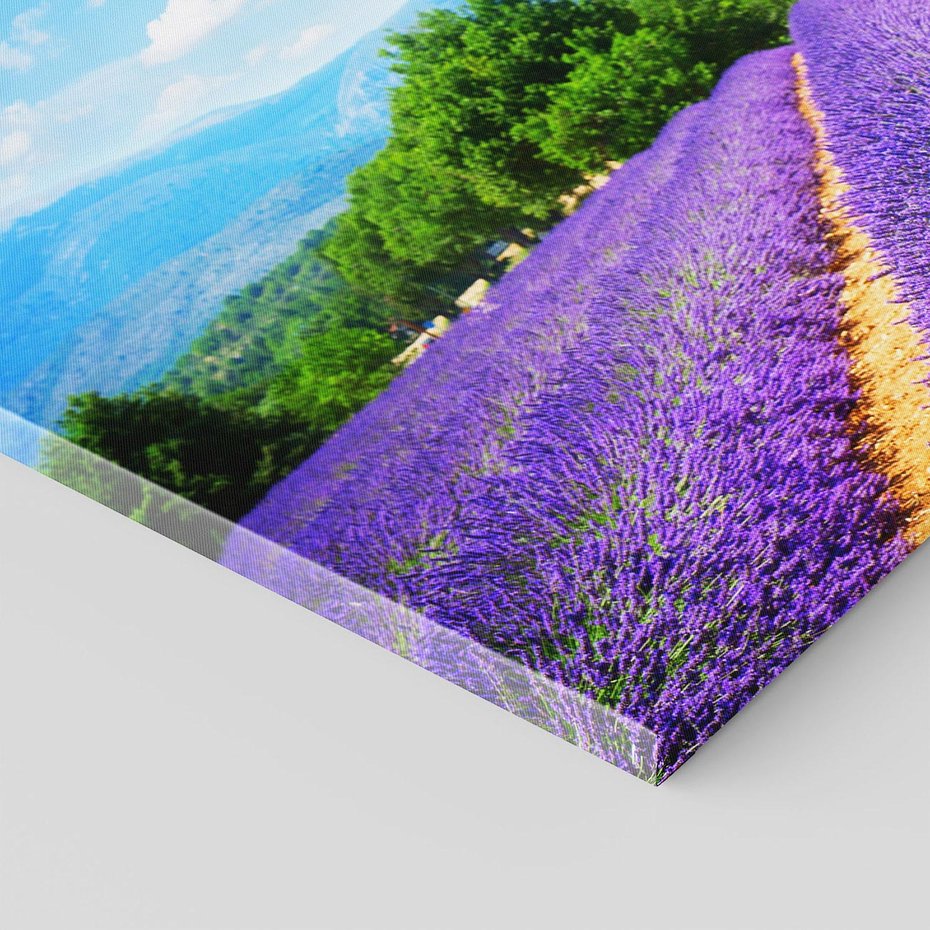 Obraz na płótnie 70x50 - Prowansalska Lawenda - lawenda, prowansja