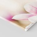 Obraz na płótnie 120x80 - Urok Magnolii - magnolie, kwiaty