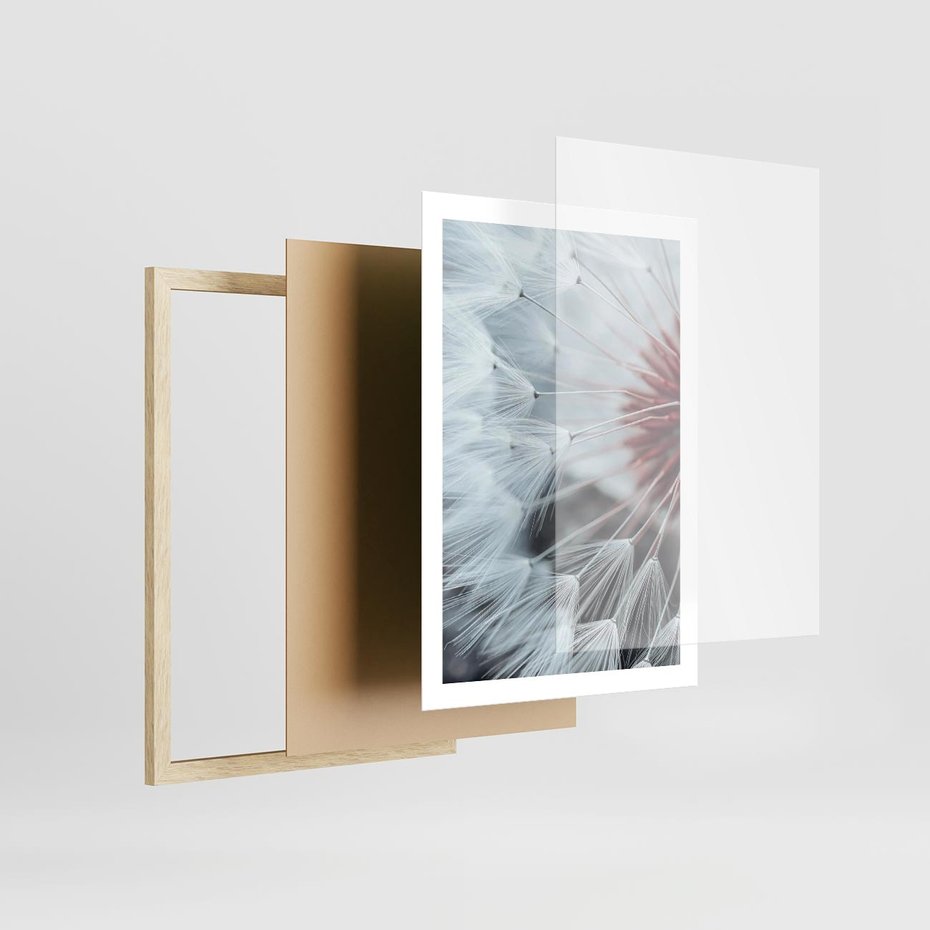 Plakat w ramie 50x70 - Makro Magii Natury - dmuchawiec, zbliżenie makro - rama drewno