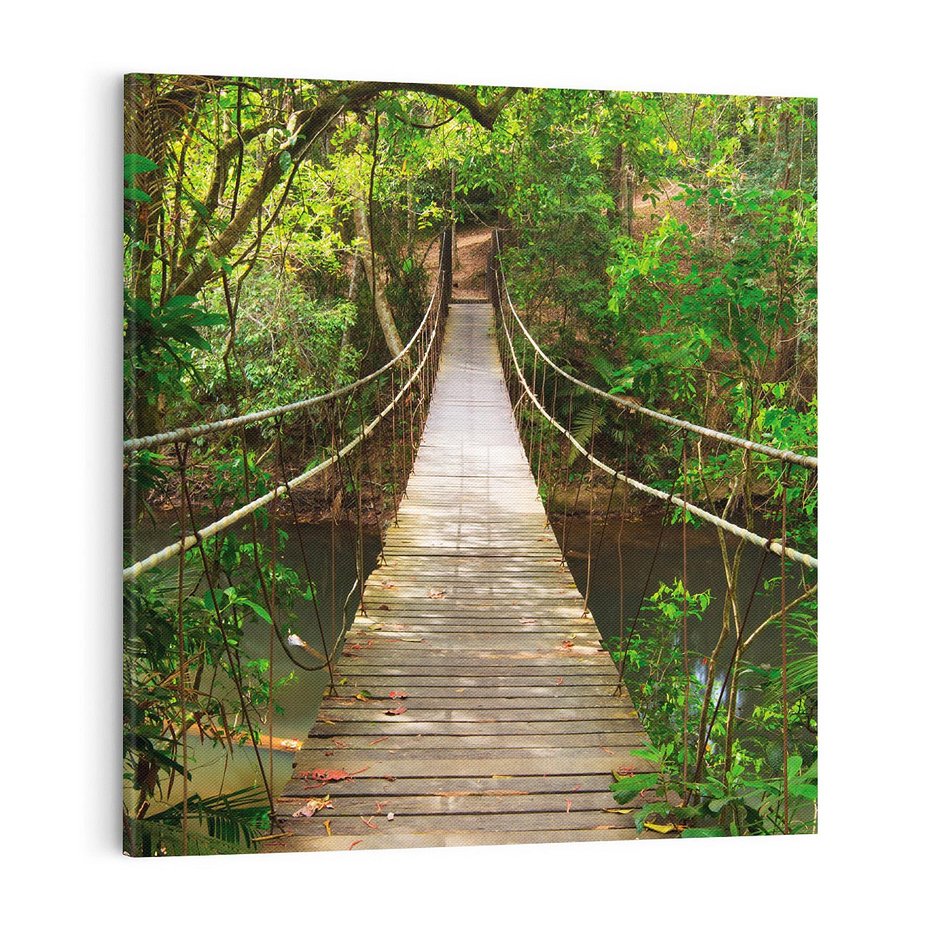 Obraz na płótnie 70x70 - Przez Dżunglę - most, linowy