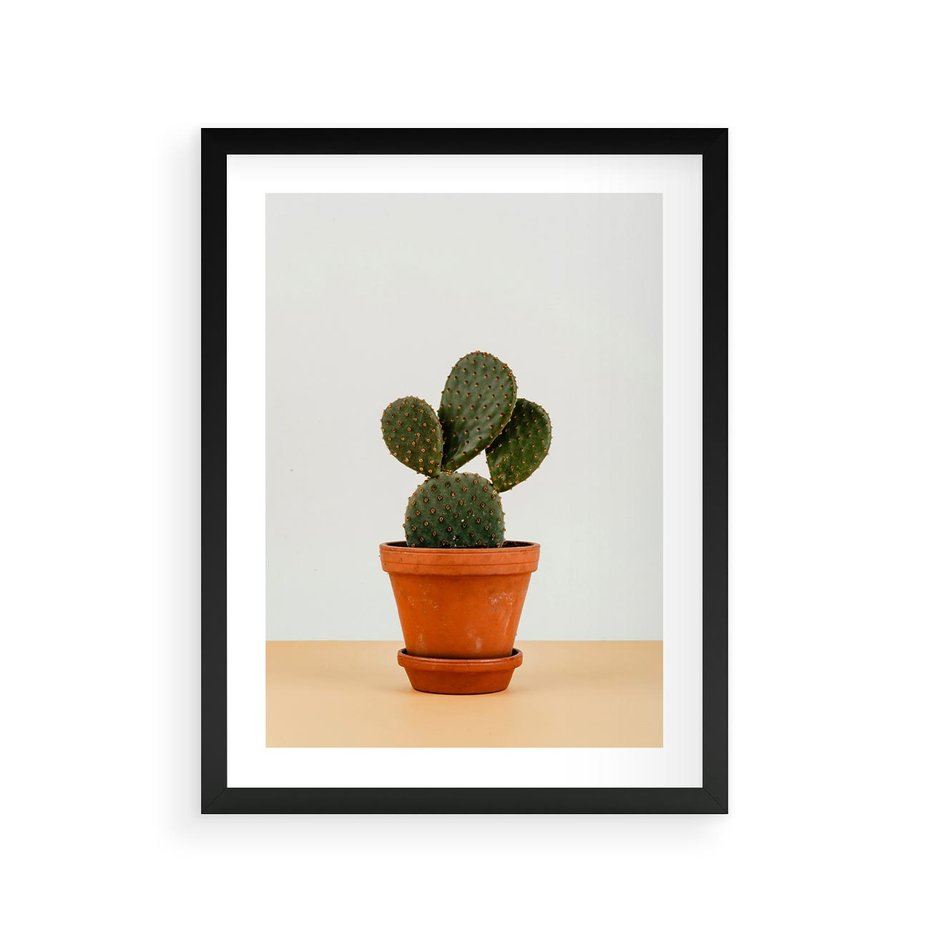 Plakat w ramie 30x40 - Kwiatowy taniec kaktusa - kaktus, kwiat - rama czarna
