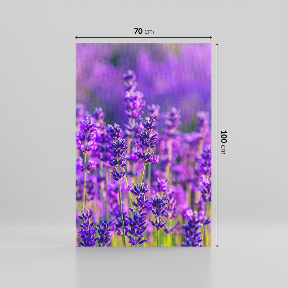 Obraz na płótnie 70x100 - Zaklęta lawenda - lawenda, kwiaty