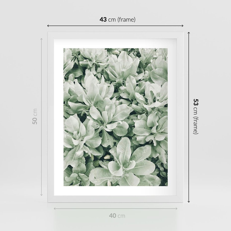 Plakat w ramie 40x50 - Liście w Jasnych Odcieniach Zielonego - liście, jasna zieleń fotografia - rama biała