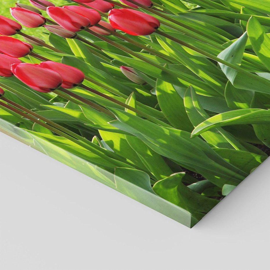 Obraz na płótnie 70x100 - Tulipanowy raj - kwiat, kwiaty