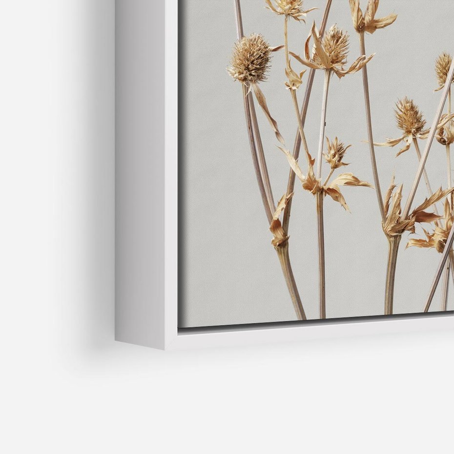 Obraz w ramie 80x80 - Delikatne gipsówki - gipsówka, suche - rama biała