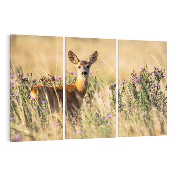 Obraz na płótnie 120x80 - Sarenka na malowniczej łące - sarna, sarenka