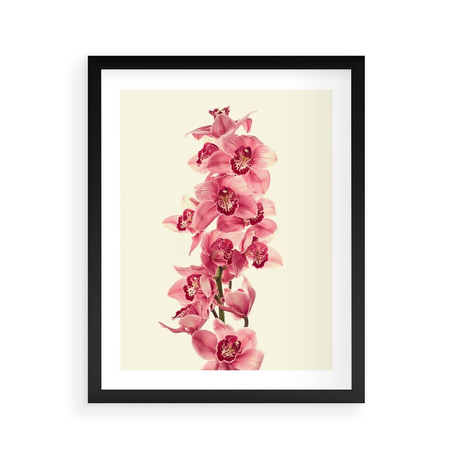 Plakat w ramie 40x50 - Orchidea w spa - relaks - orchidea, spa - rama czarna