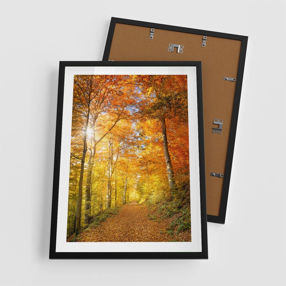 Plakat w ramie 50x70 - Złote barwy jesiennego lasu - las, jesień - rama czarna