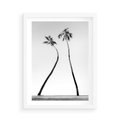 Plakat w ramie 50x70 - Samotne Palmy - czarno biała fotografia, dwie samotne palmy - rama biała