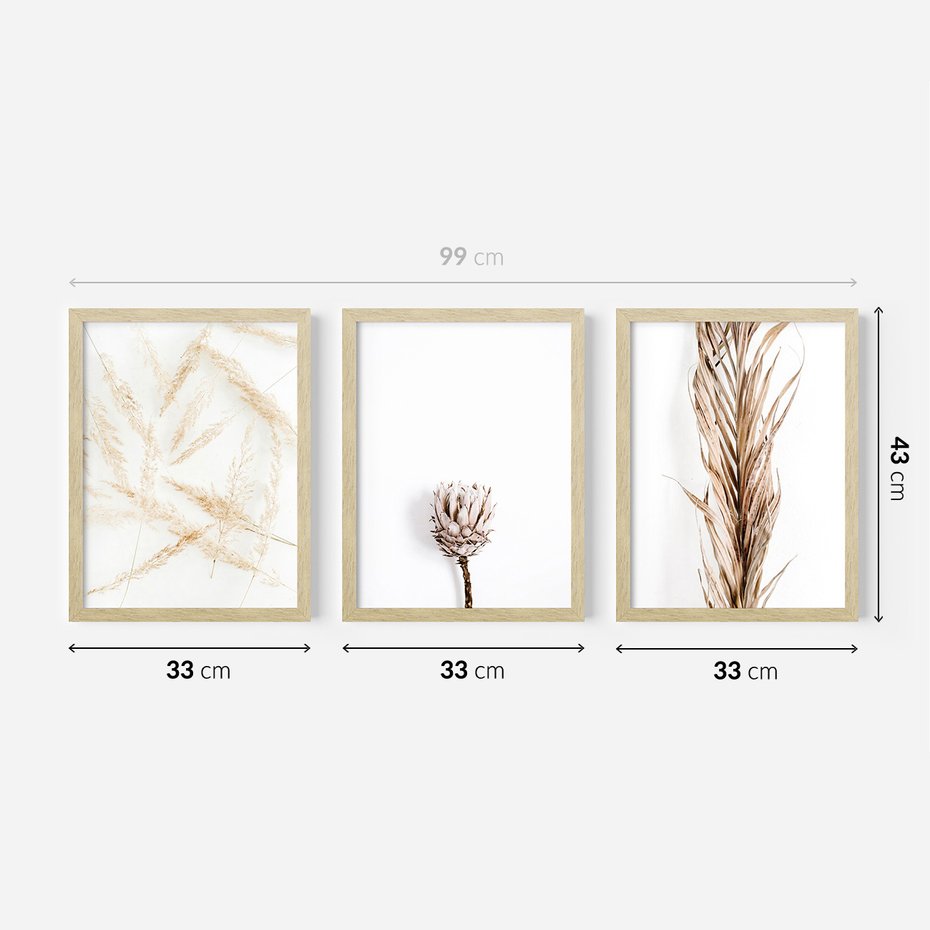 Zestaw obrazy w ramie 30x40 galeria - Boho, trawy, suche - rama drewno