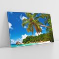 Obraz na płótnie 70x50 - Oaza palm na plaży - palma, plaża