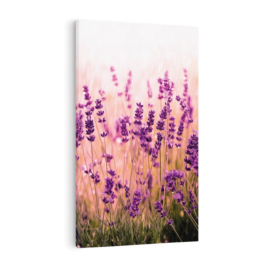 Obraz na płótnie 50x70 - Lawenda: Pachnące pole kwiatów - kwiaty, lawenda
