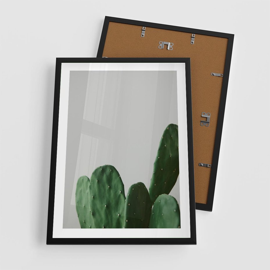 Plakat w ramie 50x70 - Majestatyczne Wysokości - kaktusy, liście - rama czarna