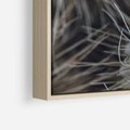 Obraz w ramie 100x70 - Ulotna Piękność Natury - makro, dmuchawce - rama drewno