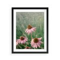 Plakat w ramie 40x50 - Natura w Pełnym Blasku - kwiaty na łące, różowe kwiaty polne - rama czarna