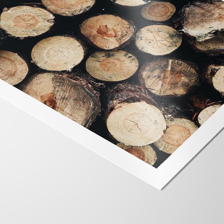 Plakat bez ramy 21x30 - Siła Drewna - ścięte drewno, belki drewna ułożone jedna na drugiej