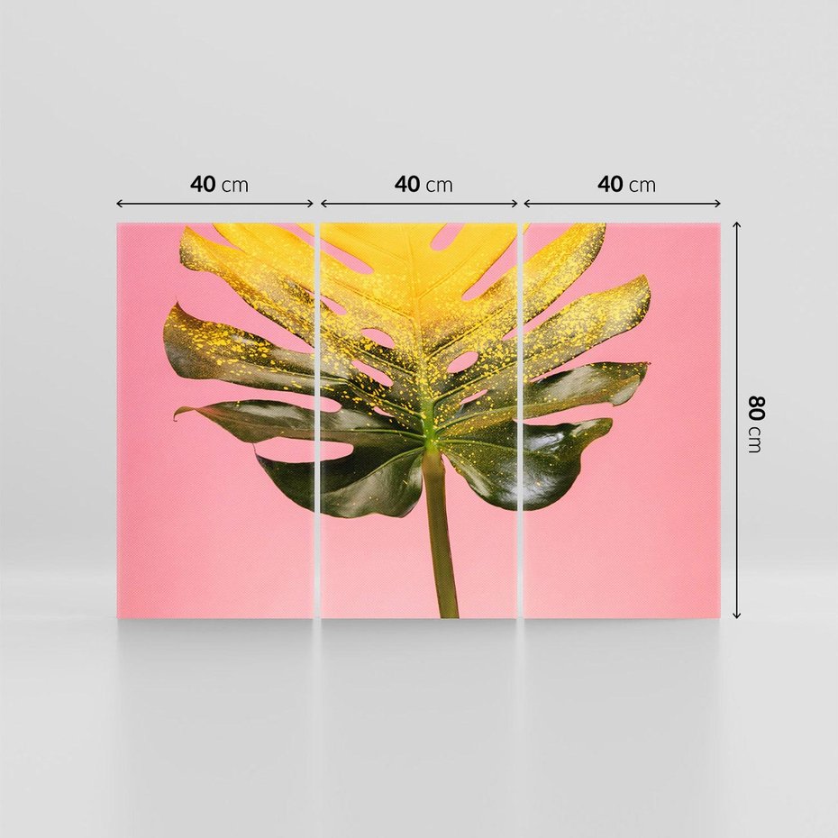 Obraz na płótnie 120x80 - Majestatyczna monstera - monstera, liść