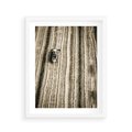 Plakat w ramie 40x50 - Sepia na Polu - kombajn, pole - rama biała