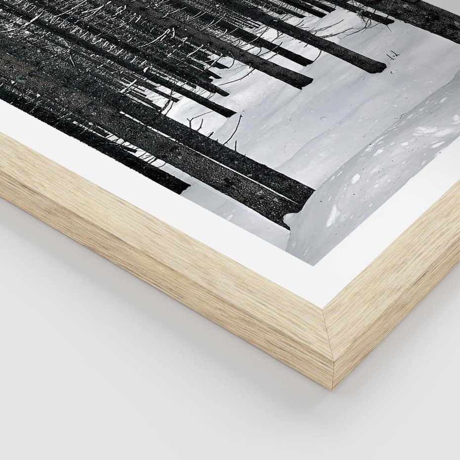 Plakat w ramie 30x40 - Zimowe Drzewa: Śnieg na Pniach - drzew w zimi, pnie drzew - rama drewno