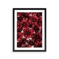 Plakat w ramie 30x40 - Energia Kwiatów - czerwone kwiaty, kompozycja - rama czarna