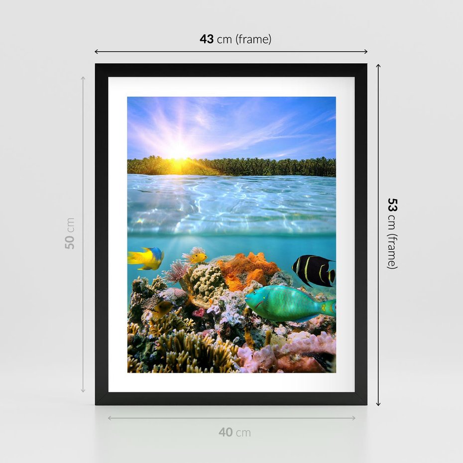 Plakat w ramie 40x50 - Rafa Koralowa - Podwodne Cuda - rafa, koralowa - rama czarna