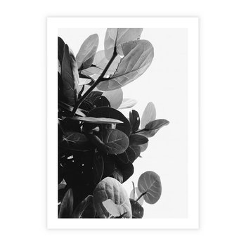 Plakat bez ramy 21x30 - Blisko Natury - liście, rośliny tropikalne