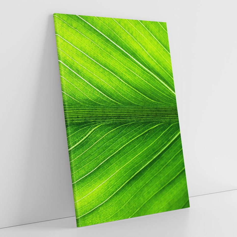 Obraz na płótnie 50x70 - Abstrakcja: interpretacje w liściach - liść, abstrakcja