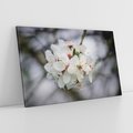 Obraz na płótnie 100x70 - Kwiatowa harmonia w tonacji pastelowej - kwiat, kwiaty