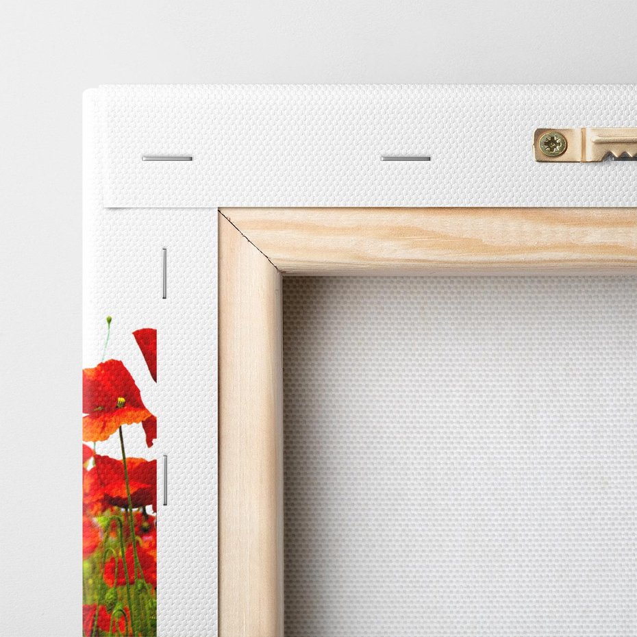 Obraz na płótnie 120x40 - Bujne maki na malowniczej łące - mak, maki