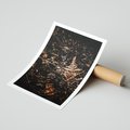 Plakat bez ramy 30x40 - Jesienna Melodia - suche trawy, paprocie
