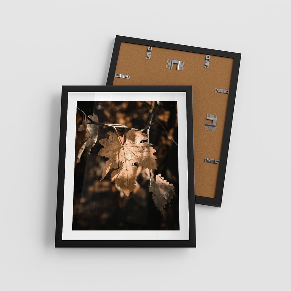 Plakat w ramie 40x50 - Uroczy Liść na Drzewie - jesienny liść, żółty liść na drzewie - rama czarna