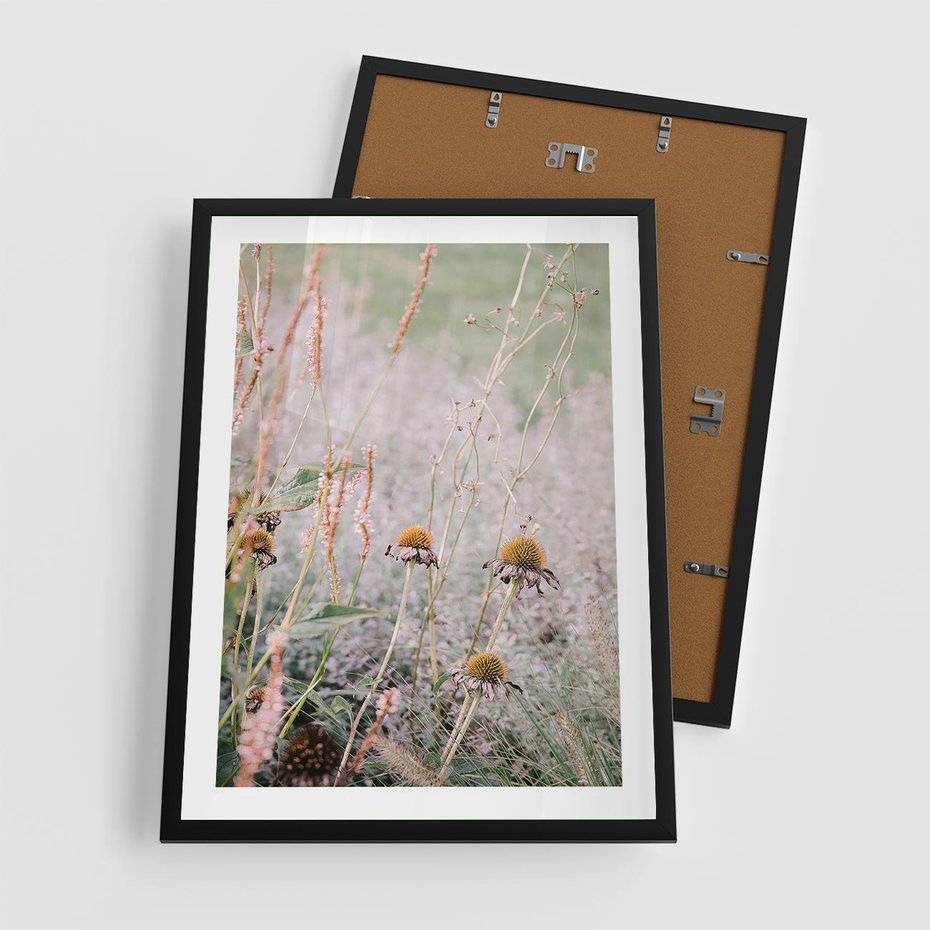 Plakat w ramie 50x70 - Przyroda w Pełnym Blasku: Kolorowa łąka z Kwiatami - łąka, kwiaty na łące - rama czarna