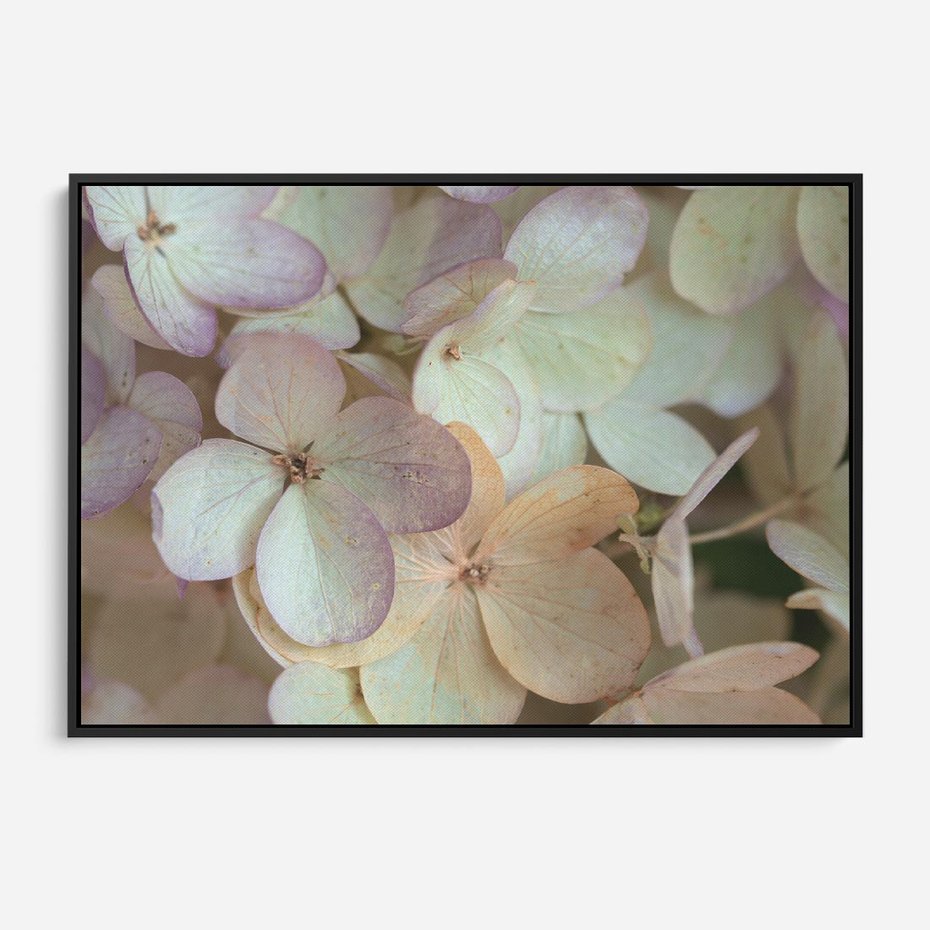 Obraz w ramie 100x70 - Kwiatowy taniec - kwiaty, hortensje - rama czarna
