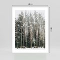 Plakat bez ramy 40x50 - Sypiący Śnieg - las w zimie, drzewa pod śniegiem